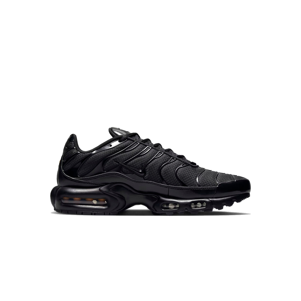 AIR MAX TN NEGRO TODO